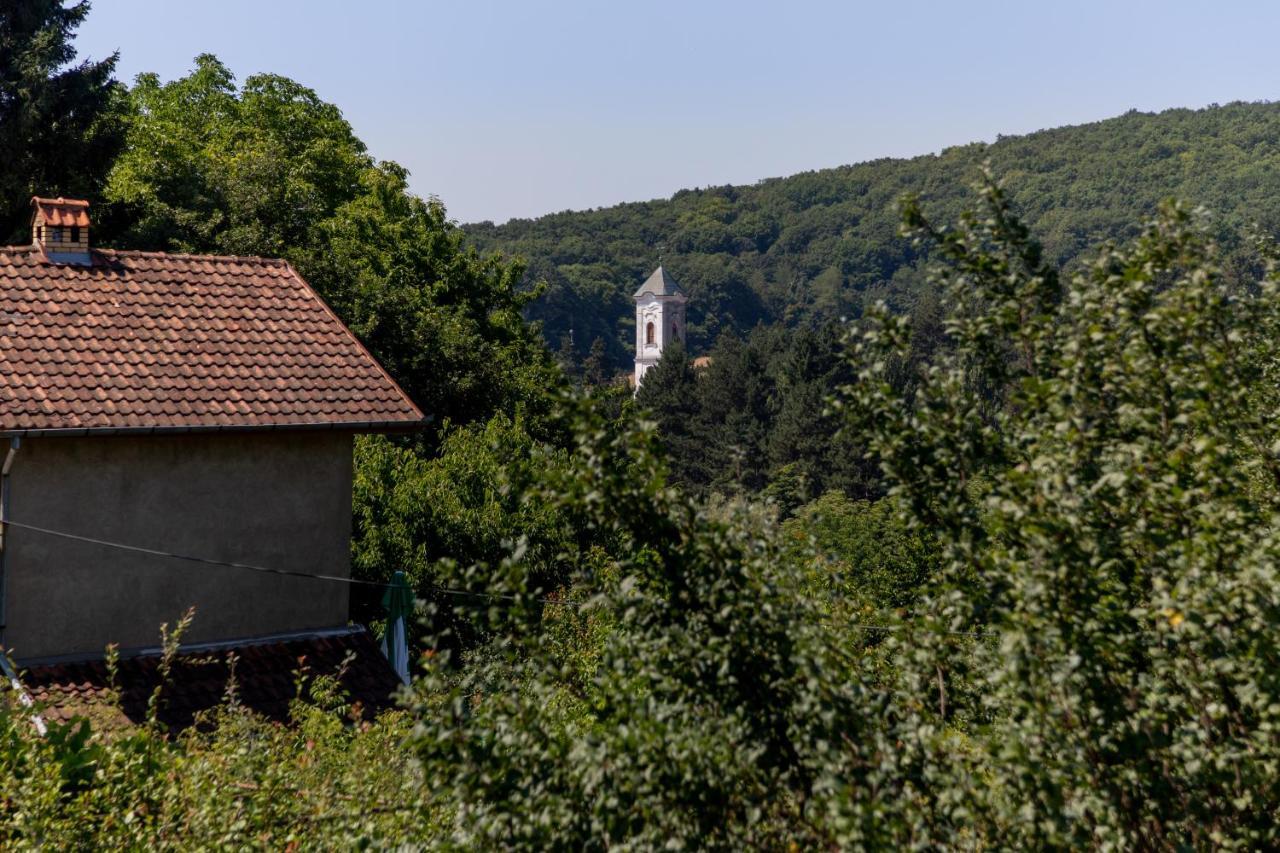 Mi Casa 2 Villa Vrdnik Bagian luar foto